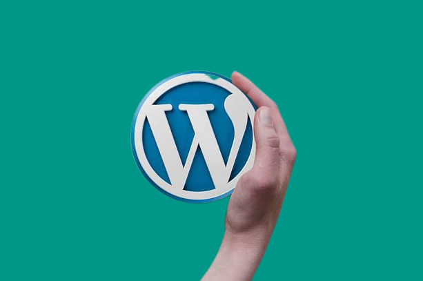 cara membuat website wordpress