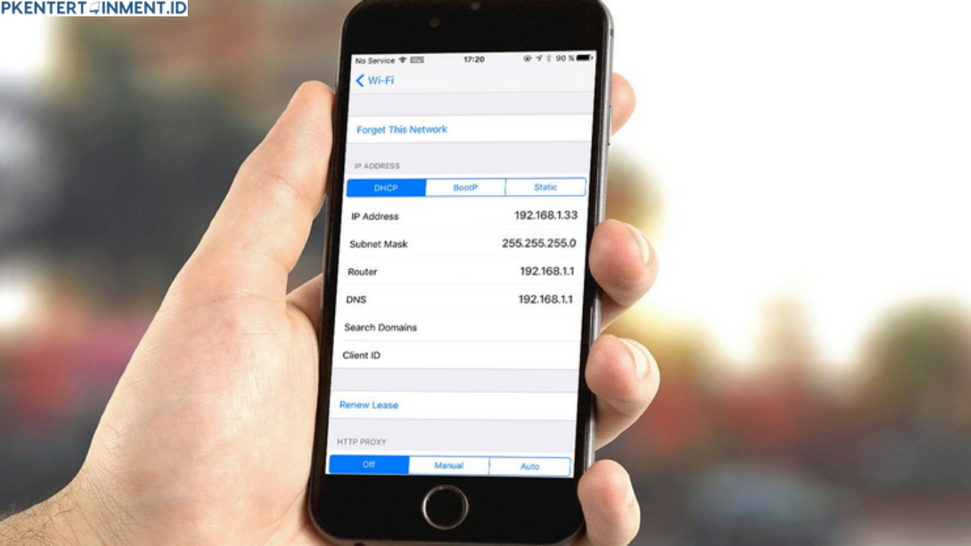 cara mengetahui IP Address iPhone