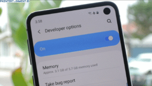 cara mengaktifkan opsi pengembang Samsung