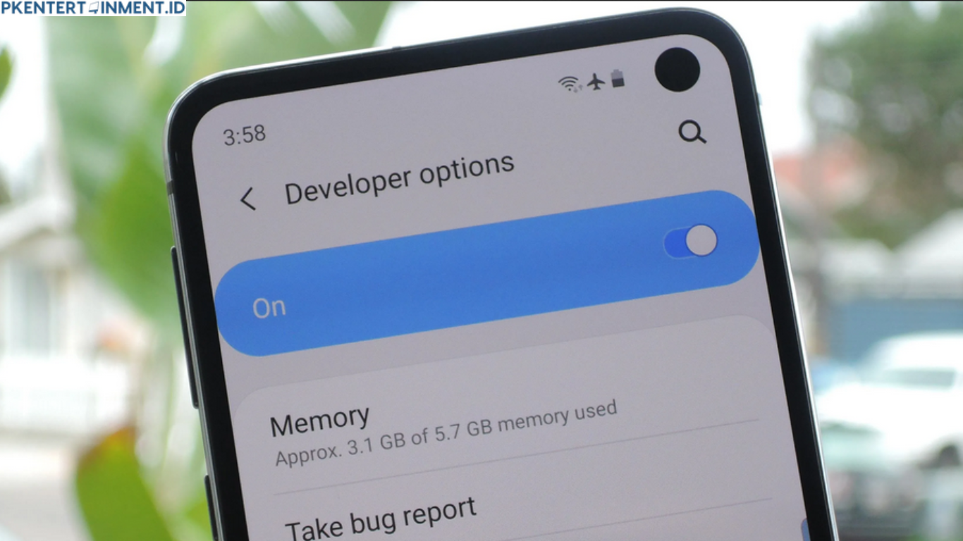 cara mengaktifkan opsi pengembang Samsung