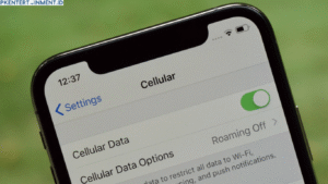 cara OFF WA tanpa mematikan data seluler di iPhone