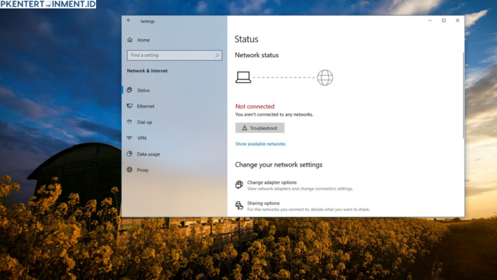 Cara Mengatasi Troubleshoot Problems WiFi Windows 10