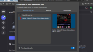 cara menonton netflix di discord