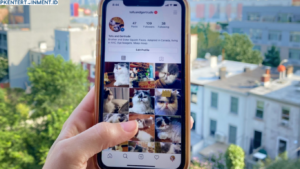 cara cek unfollow ig tanpa aplikasi